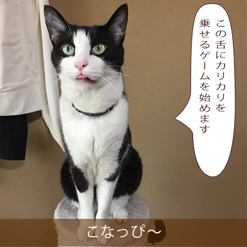 20210809_touko.jpg