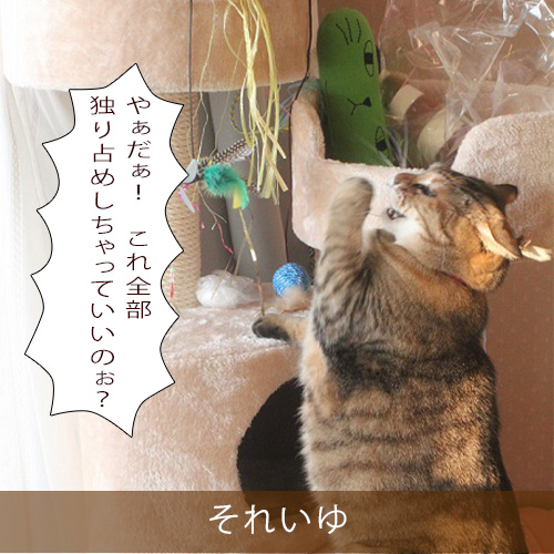 20210811_touko.jpg