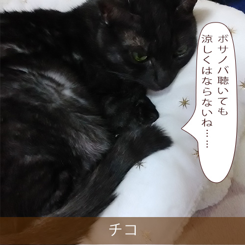 20210812_touko.jpg