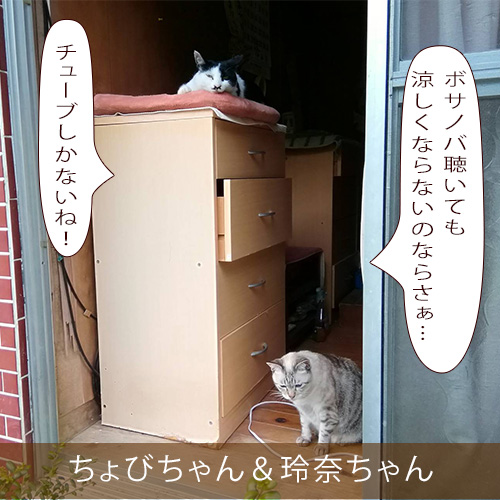 20210813_touko.jpg