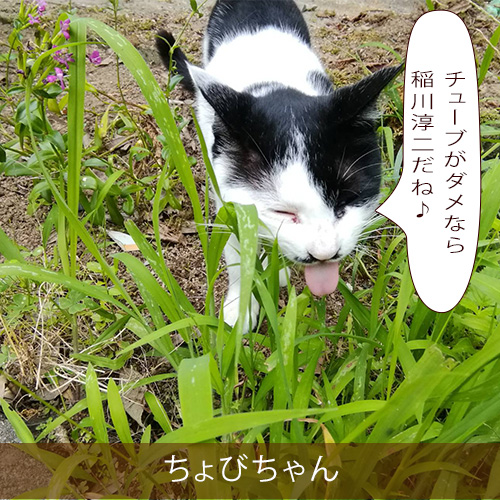20210814_touko.jpg
