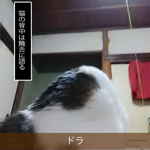 20210816_touko.jpg