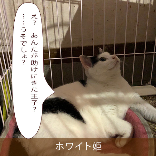 20210817_touko.jpg