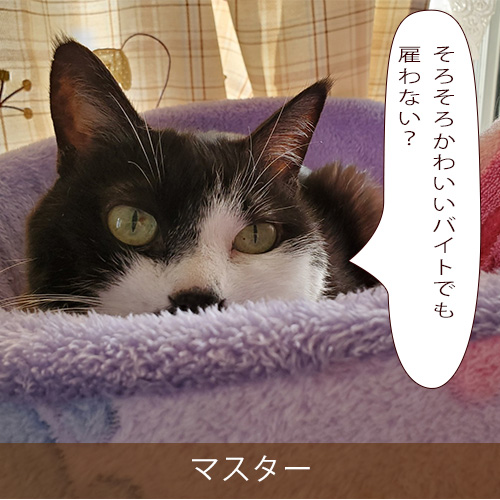 20210818_touko.jpg