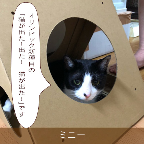 20210820_touko.jpg