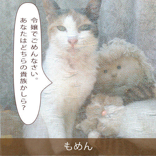 20210822_touko.jpg
