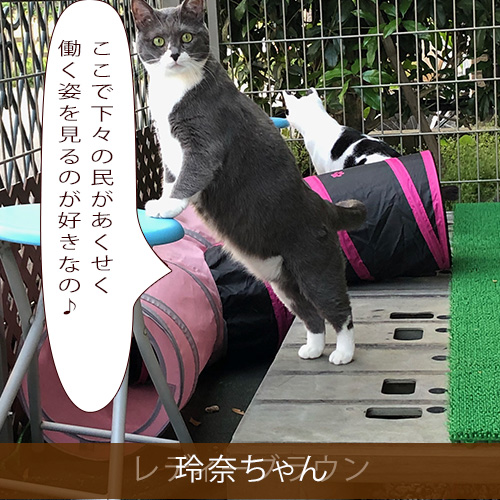 20210824_touko.jpg