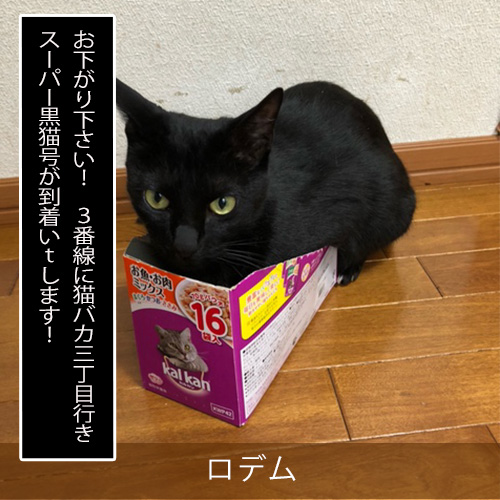 20210825_touko.jpg