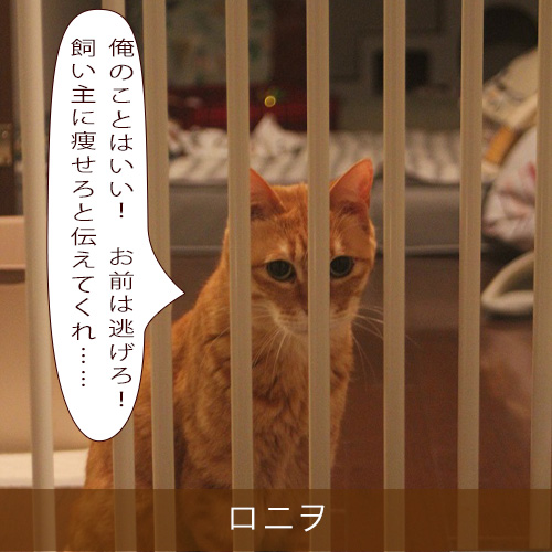 20210826_touko.jpg