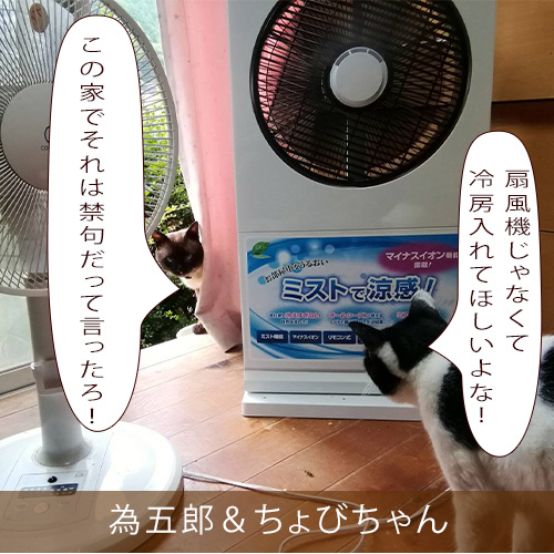20210827_touko.jpg