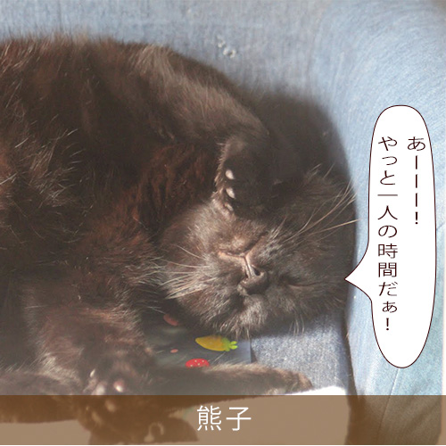 20210828_touko.jpg