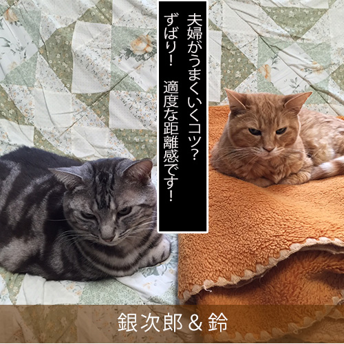 20210829_touko.jpg