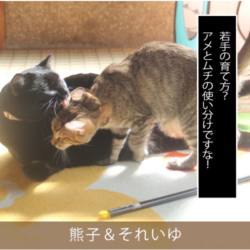 20210830_touko.jpg