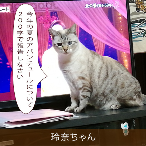 20210831_touko.jpg