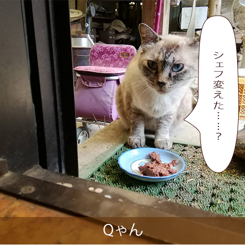 20210902_touko.jpg