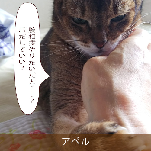 20210903_touko.jpg