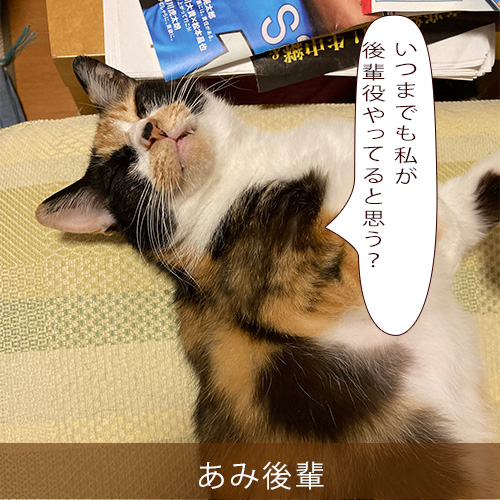 20210905_touko.jpg