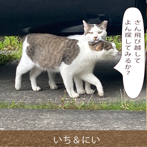 20210906_touko.jpg