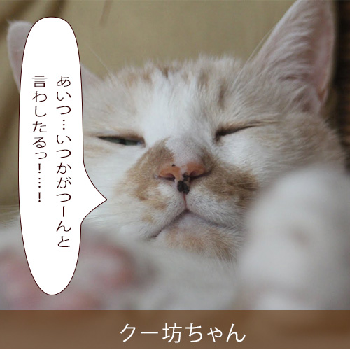 20210908_touko.jpg