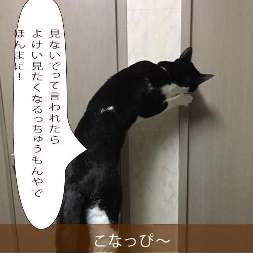 20210909_touko.jpg