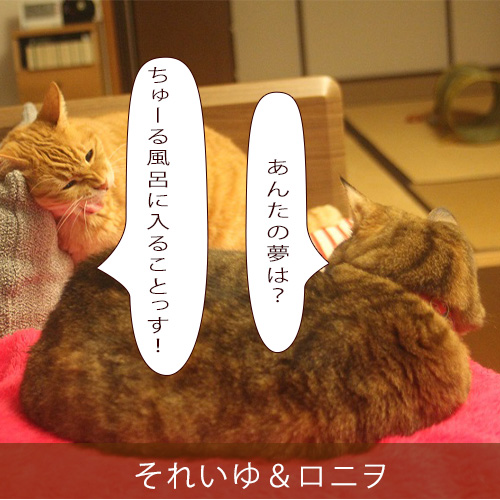 20210910_touko.jpg