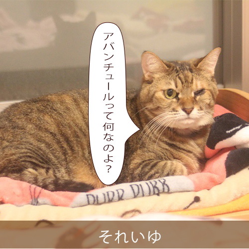 20210911_touko.jpg