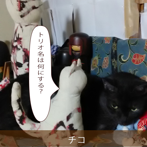 20210912_touko.jpg