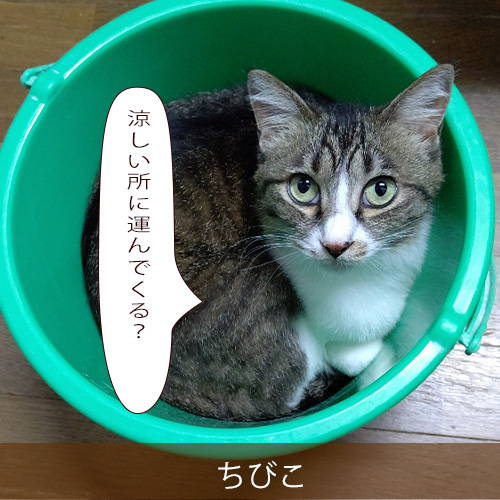 20210913_touko.jpg