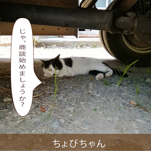 20210914_touko.jpg