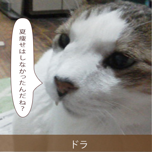 20210915_touko.jpg