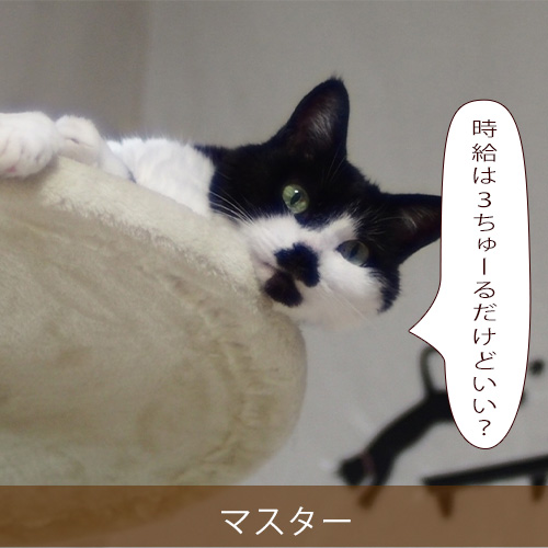 20210916_touko.jpg