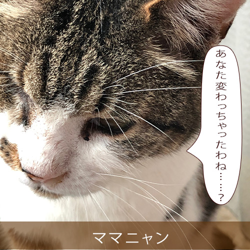 20210917_touko.jpg