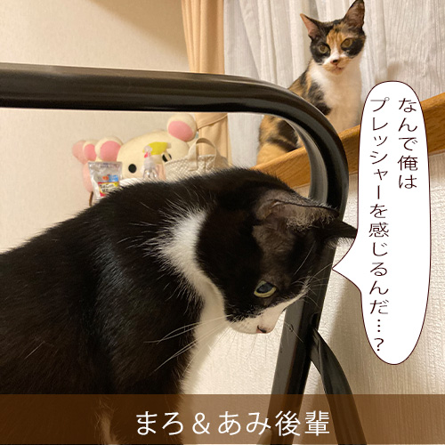 20210918_touko.jpg