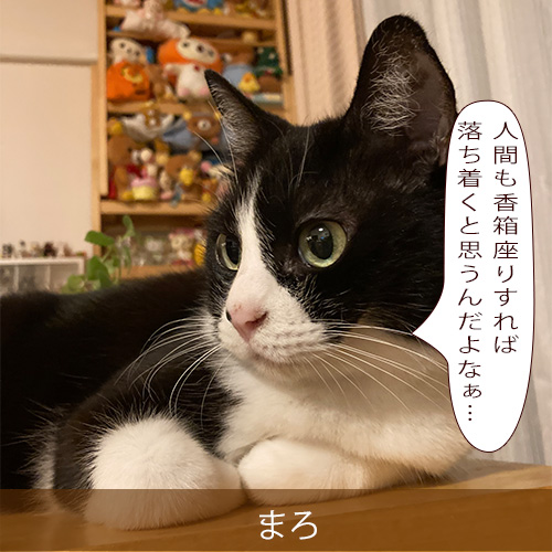 20210919_touko.jpg