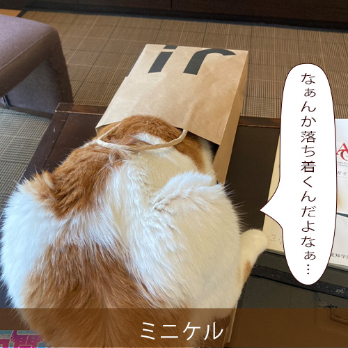 20210920_touko.jpg
