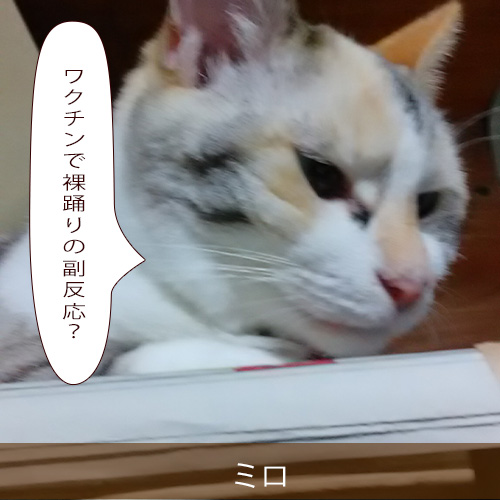 20210921_touko.jpg