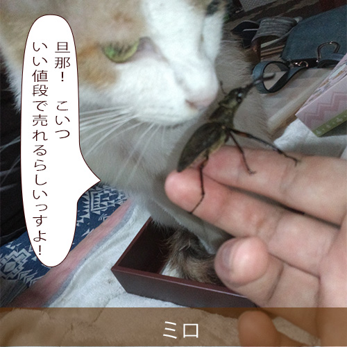 20210922_touko.jpg