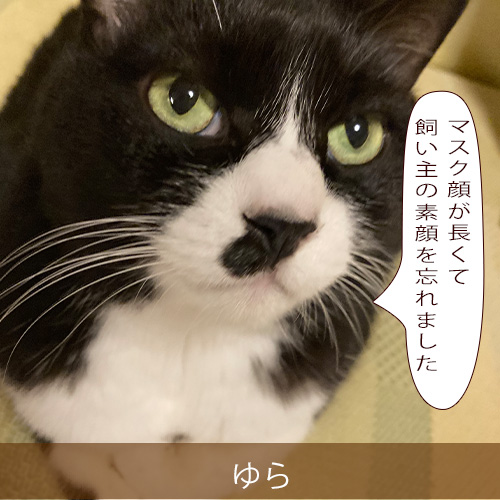 20210923_touko.jpg