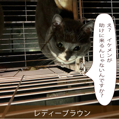 20210924_touko.jpg
