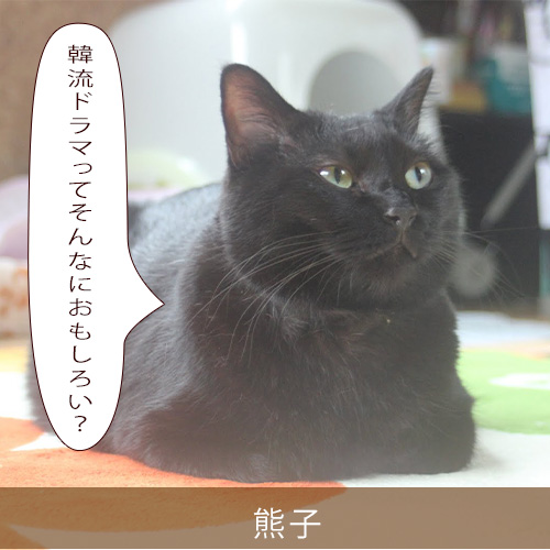 20210927_touko.jpg