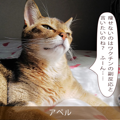 20211005_touko.jpg
