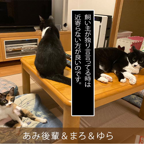 20211006_touko.jpg