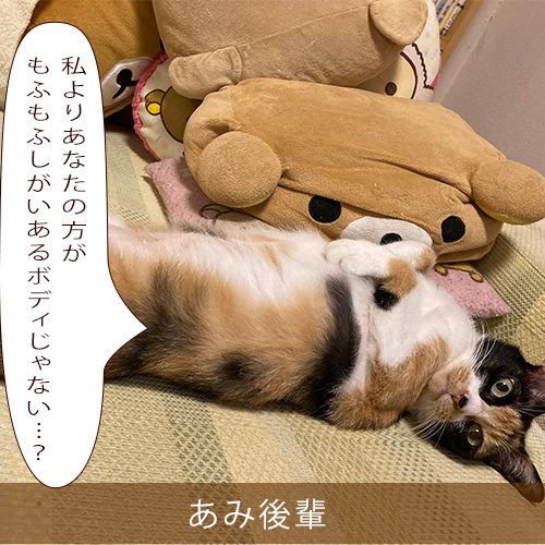 20211007_touko.jpg