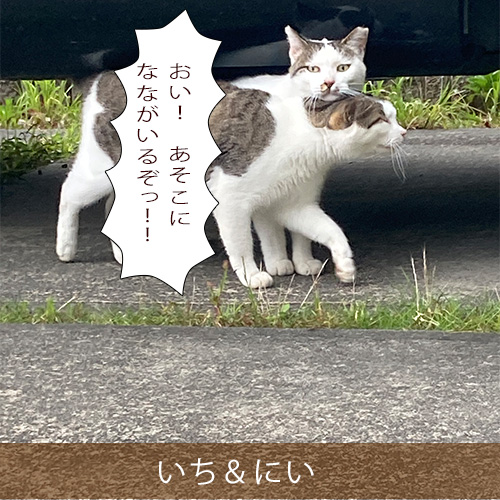 20211009_touko.jpg