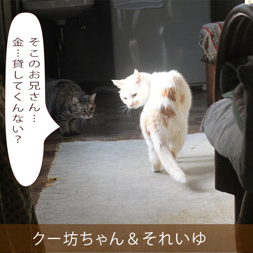 20211010_touko.jpg
