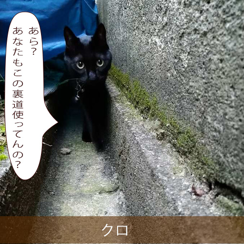20211012_touko.jpg