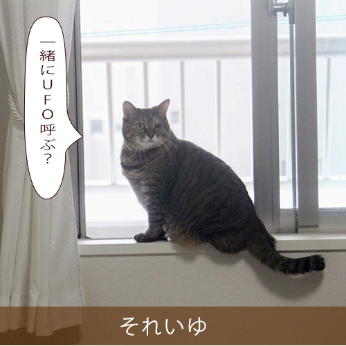 20211014_touko.jpg