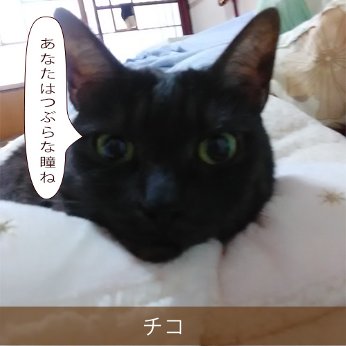 20211015_touko.jpg
