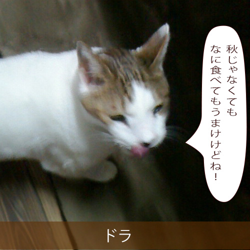 20211017_touko.jpg