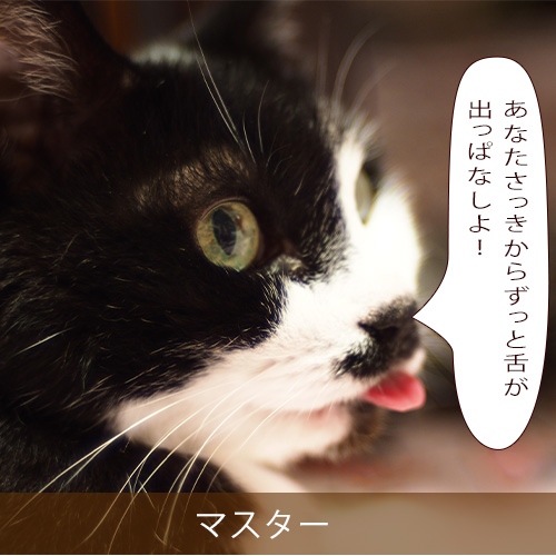 20211018_touko.jpg